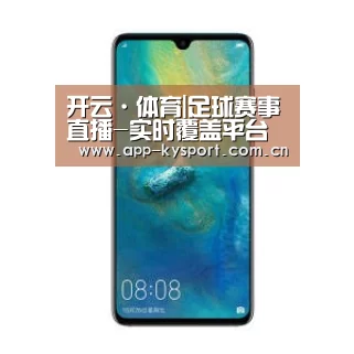 华为无线快充手机