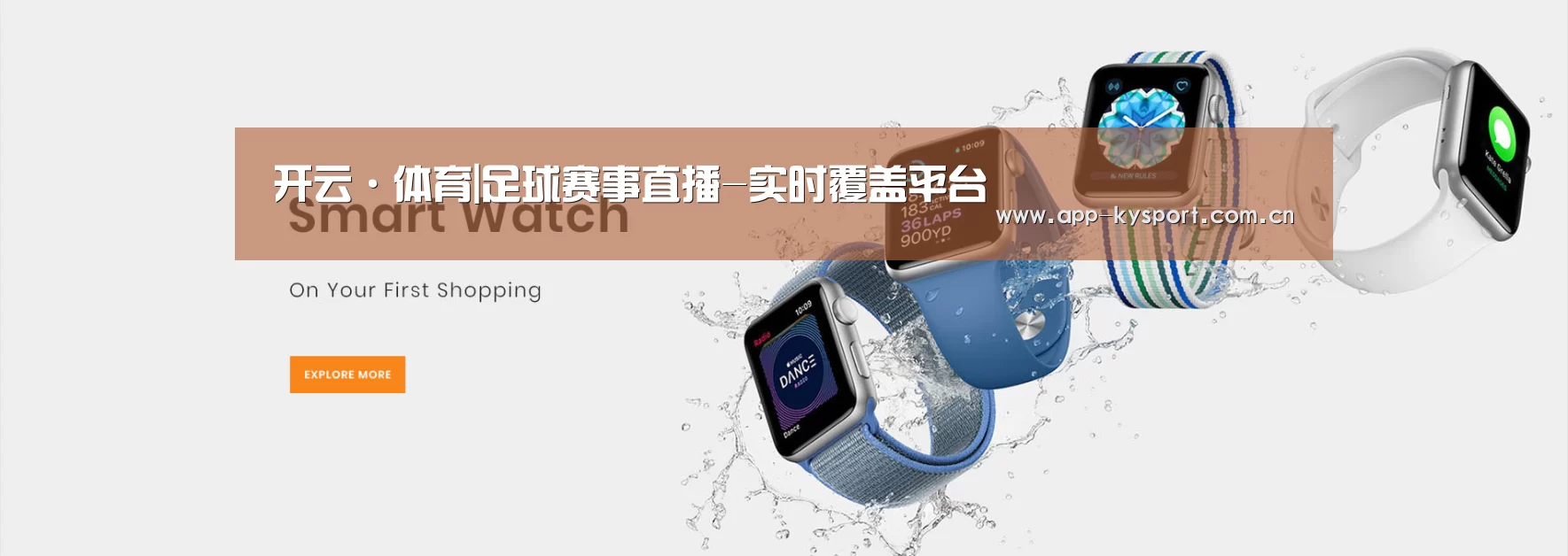 某某网络科技有限公司