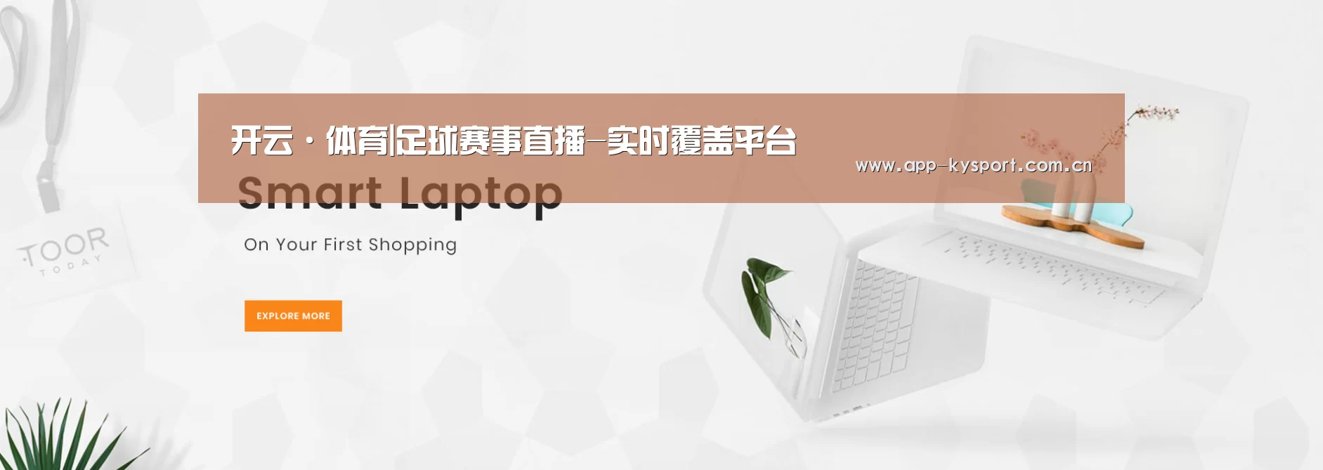 某某网络科技有限公司